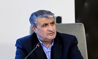 کاهش ۴۰ میلیون تنی ضایعات بخش کشاورزی با پرتودهی